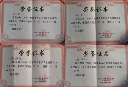 我校师生在“2006世界华人艺术节”获奖情况