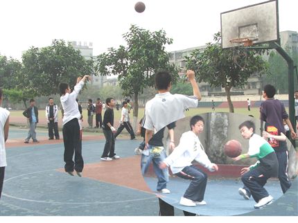 棠湖中学初2008届举行篮球系列活动(一)
