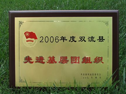 我校团委、高2009级12班团支部被授予</p><p>　　2006—2007学年度县先进基层团组织