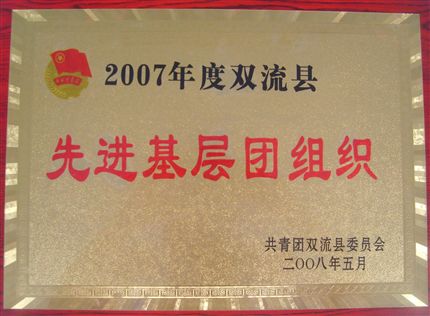 双流县基层团组织荣誉牌