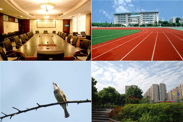 棠外获首届成都最美校园最高奖