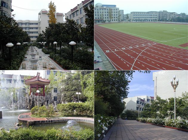 挥洒赤诚 书写教育春秋――记“双流县优秀共产党员” 黄光成校长