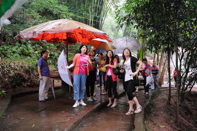 至心修思 治身养心——记我校本年度优秀教职工外出度假活动