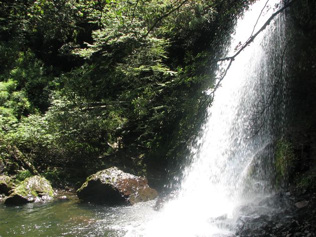 瓦屋山记游  棠外人写意