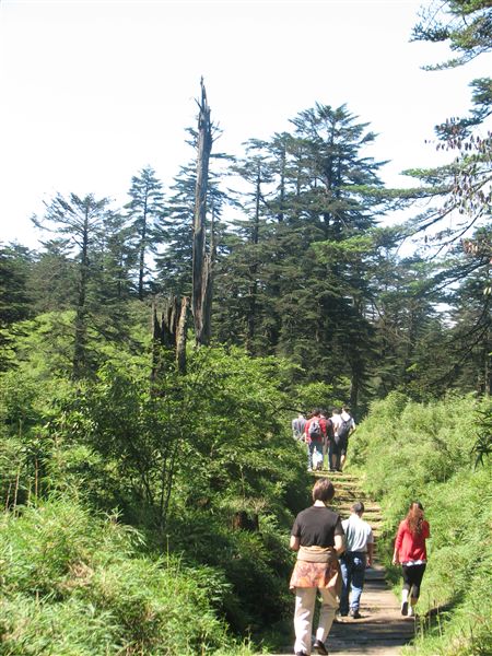 瓦屋山记游  棠外人写意
