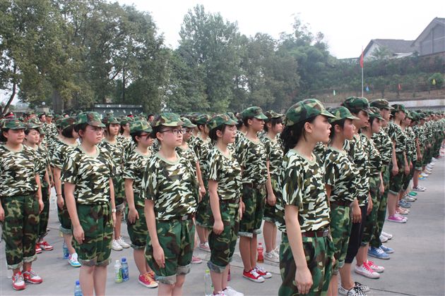 棠外高2013届学生社会实践活动圆满结束