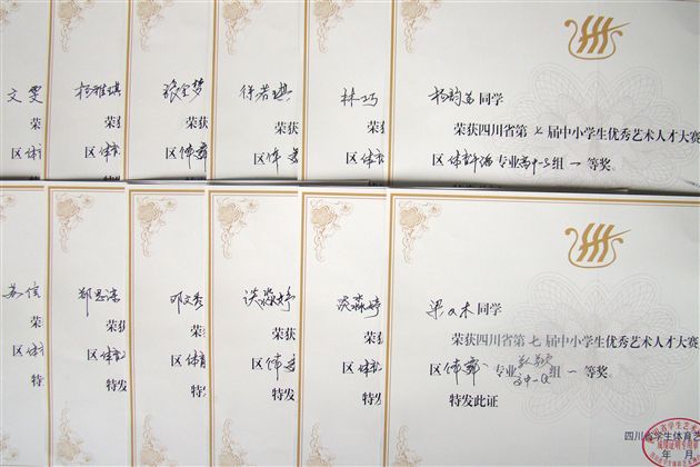 棠外高中体育舞蹈队参加四川省优秀艺术人才大赛喜获佳绩