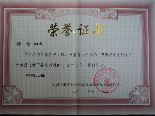 棠外附小教师参加省教育厅遂宁市送教活动