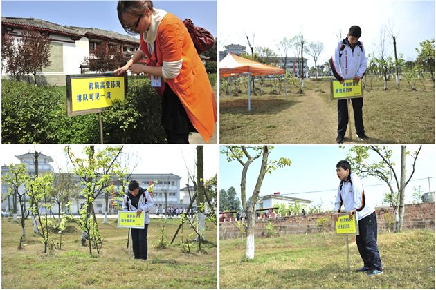 践行时代雷锋精神 感受现代田园建设——棠外初2013届“学雷锋”综合实践活动