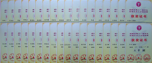 棠外飞鹰艺术团参加成都市第十一届学生艺术大赛喜获佳绩