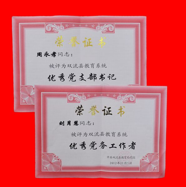 创先争优促发展 务实创新结硕果——棠外12名党员教师在市县教育系统2011--2012学年创先争优活动中获表彰