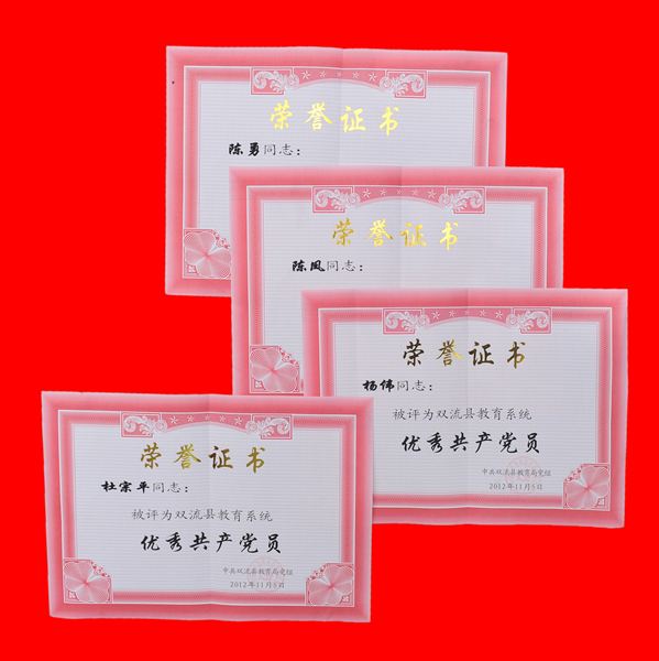 创先争优促发展 务实创新结硕果——棠外12名党员教师在市县教育系统2011--2012学年创先争优活动中获表彰