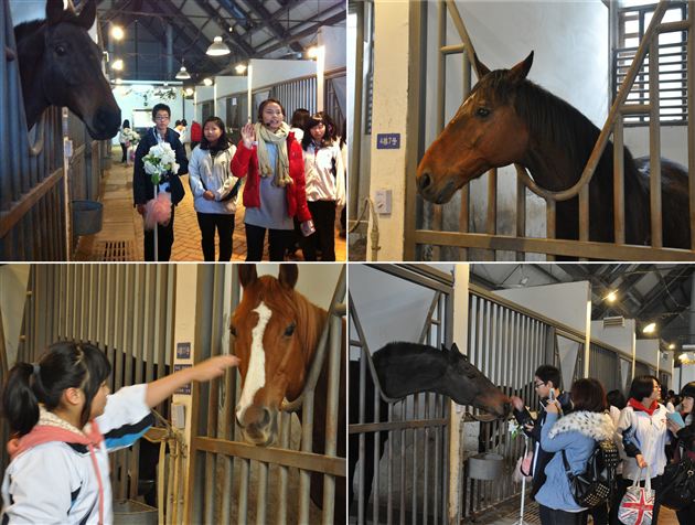 “棠外国际班style”——国际班学生11月社会实践活动