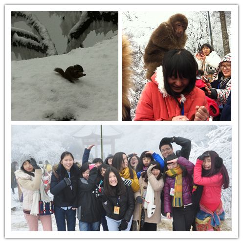 国际部迎新年联欢会暨年终师生表彰大会成功举办