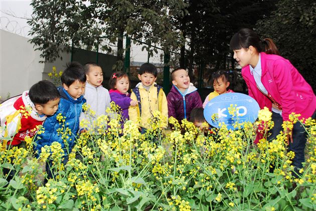 棠外幼稚园，我们回来了
