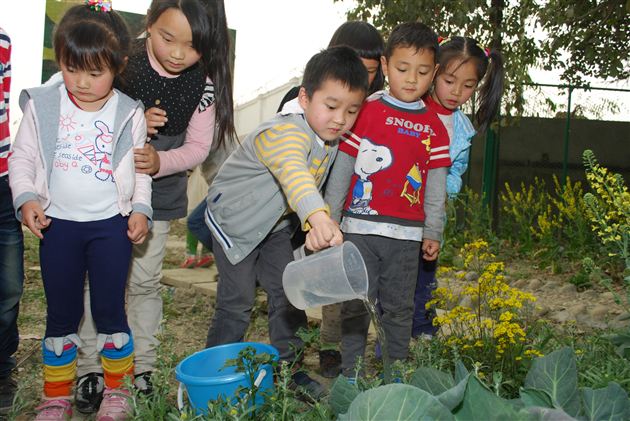 亲近自然 拥抱绿色——记棠外实验幼稚园植树节体验活动