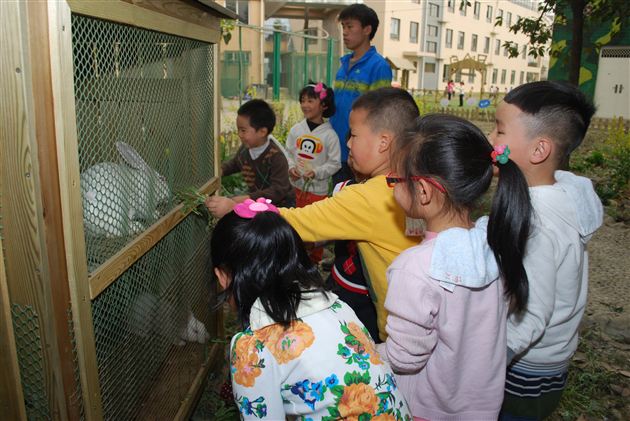 亲近自然 拥抱绿色——记棠外实验幼稚园植树节体验活动