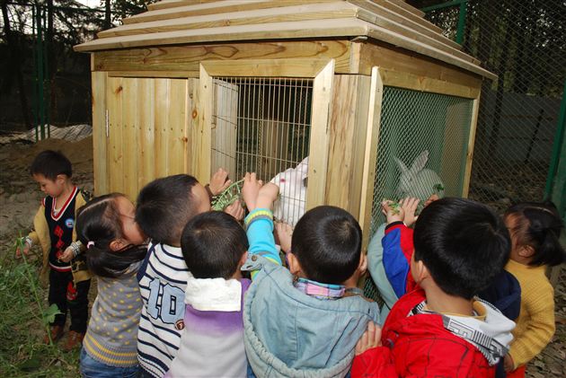 亲近自然 拥抱绿色——记棠外实验幼稚园植树节体验活动