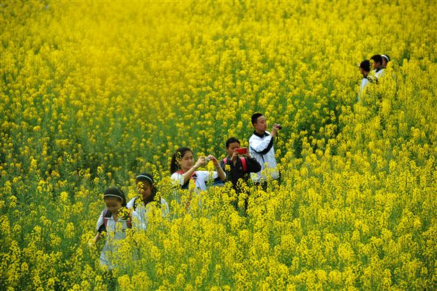 棠中外语学校初2012级“缅怀革命先烈，弘扬民族精神”社会实践活动