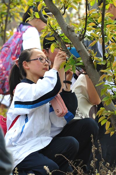 棠中外语学校初2012级“缅怀革命先烈，弘扬民族精神”社会实践活动