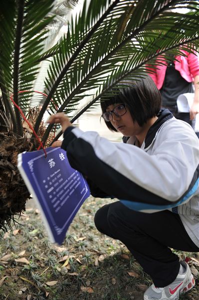 绿色妆点世界 行动美化校园——记棠外初2012级学生“校园植物游”活动