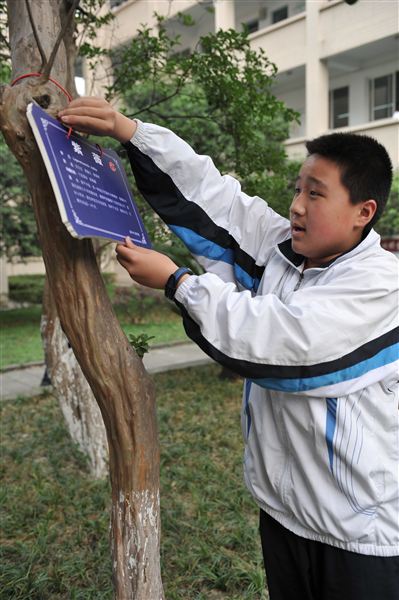 绿色妆点世界 行动美化校园——记棠外初2012级学生“校园植物游”活动