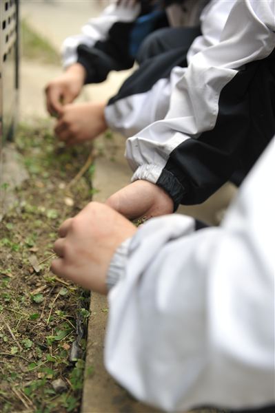 爱护花草树木，我们在行动——记棠外“用我之手绿我棠外——除草大行动”活动