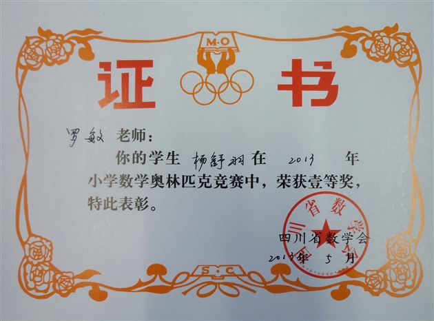 棠外附小参加小学数学竞赛喜获佳绩