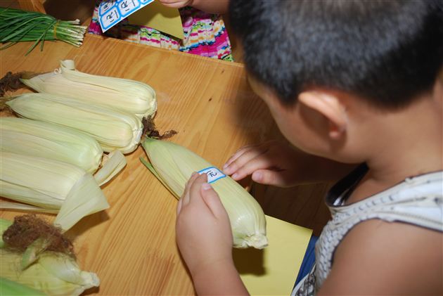 棠外实验幼稚园种植园售卖活动