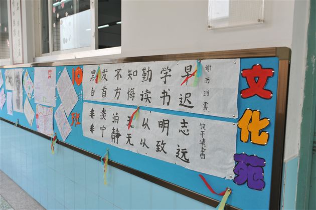彰显班级特色 丰富校园文化——记棠外初2013级班级文化墙评选活动