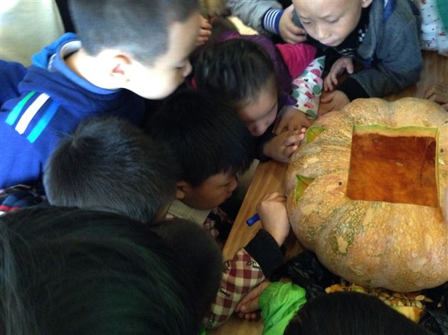 棠外实验幼稚园开展万圣节主题活动