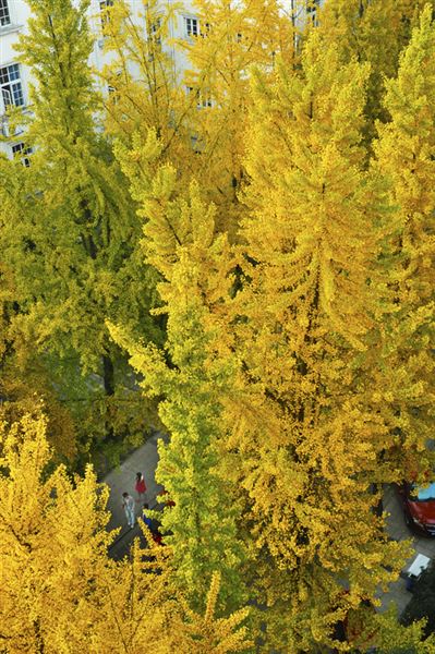 镜头记录美丽，快门镌刻感动——棠外教师摄影协会采风活动侧记