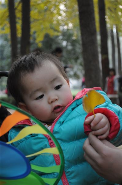 镜头记录美丽，快门镌刻感动——棠外教师摄影协会采风活动侧记