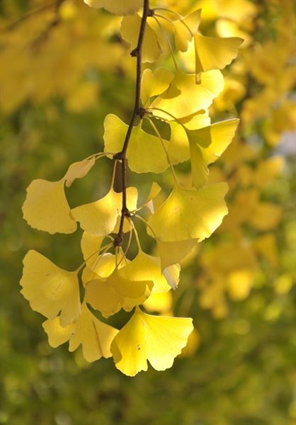 镜头记录美丽，快门镌刻感动——棠外教师摄影协会采风活动侧记