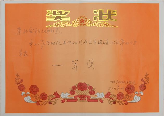 棠外实验幼稚园荣获2013年度双流县托幼园所卫生保健工作先进单位