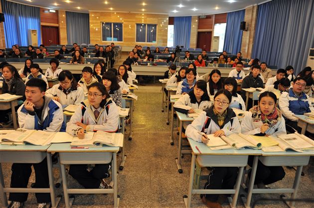 专家引路，同行共进