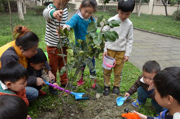 棠外实验幼稚园开展植树活动