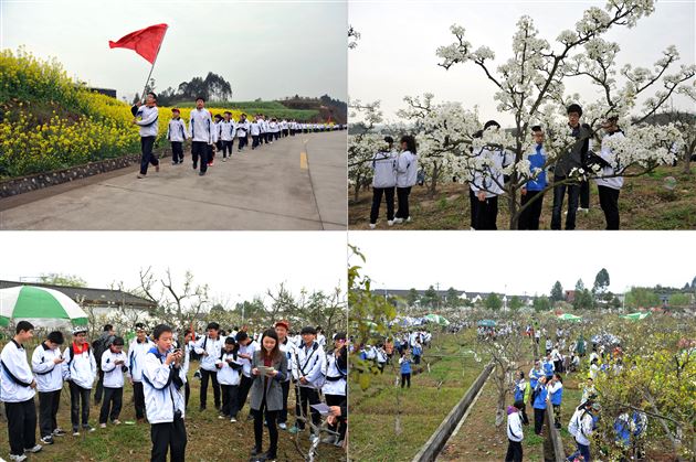 缅怀革命先烈，弘扬雷锋精神——记棠外初2013级社会实践活动