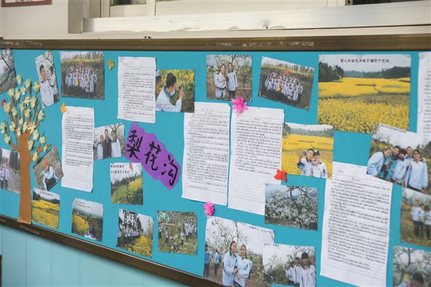 展示班级特色 彰显青春风采——记棠外初中部班级文化墙评比活动