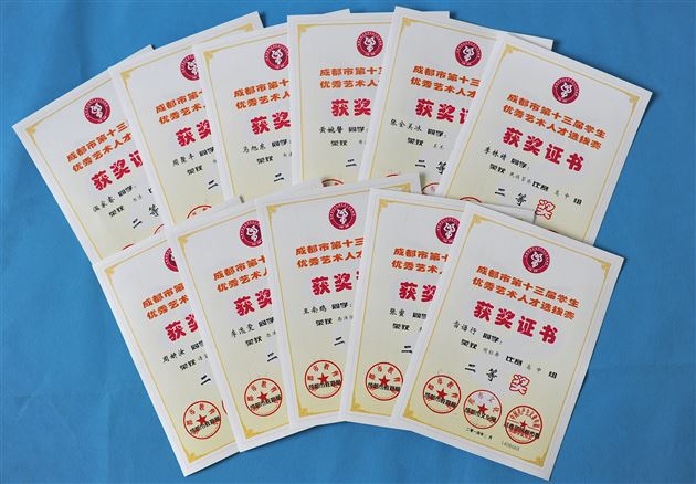 棠外学子参加“2014成都市艺术人才选拔赛”喜获佳绩