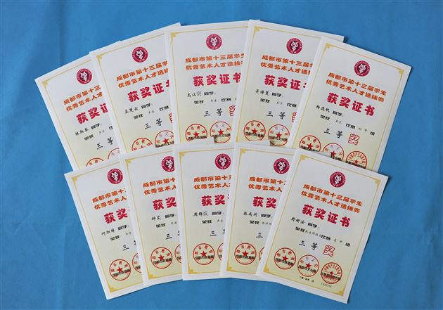 棠外学子参加“2014成都市艺术人才选拔赛”喜获佳绩