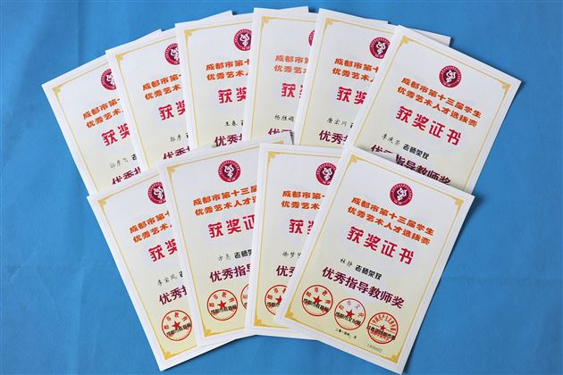 棠外学子参加“2014成都市艺术人才选拔赛”喜获佳绩