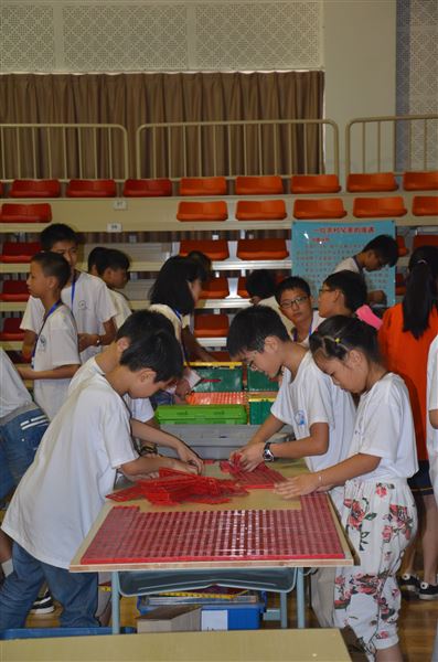 喜报：棠外附小机器人代表队荣获全国青少年教育机器人奥林匹克竞赛冠军