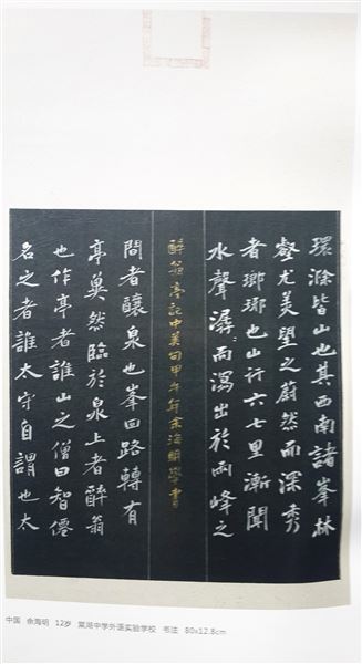 棠外学子在“第四届中日韩青少年书画交流展”中获佳绩