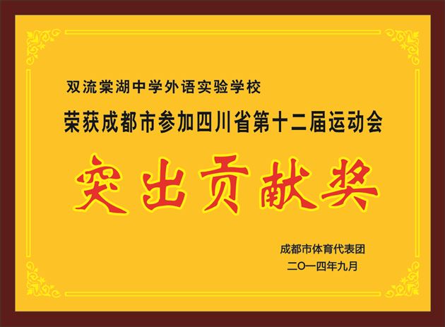 棠外男足队参加四川省运动会蝉联冠军
