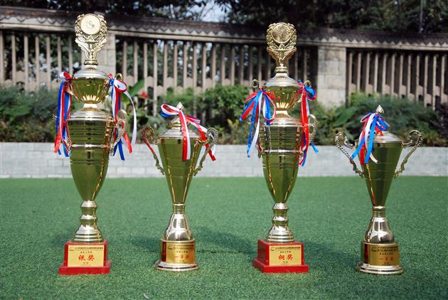 棠外附小荣获“2014年全国啦啦操冠军赛”第二名并获得代表中国参加“2015美国啦啦操世锦赛”参赛资格