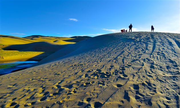 作品：跋沙逐影  作者：教师陈守蓉摄于青海湖