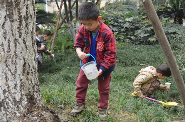 “爱树护绿，从我做起”——记棠外实验幼稚园植树节主题活动
