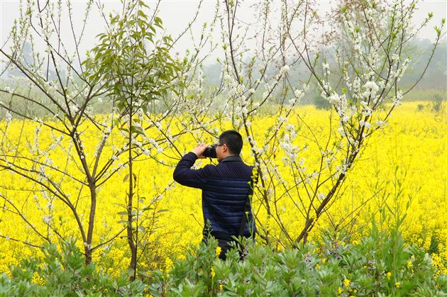 棠外摄影协会组织春季采风活动
