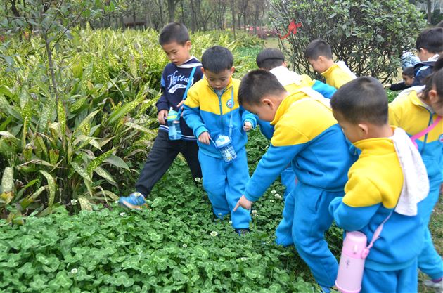 “亲近自然，拥抱春天”——记棠外实验幼稚园春游活动
